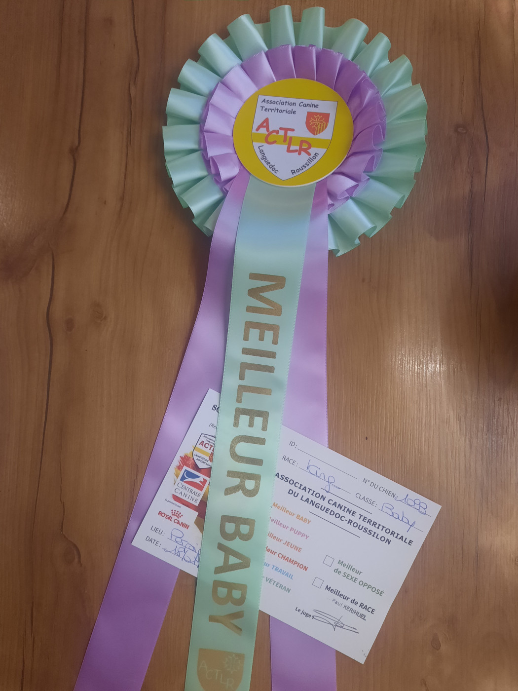 Première Expo d'Anaïs