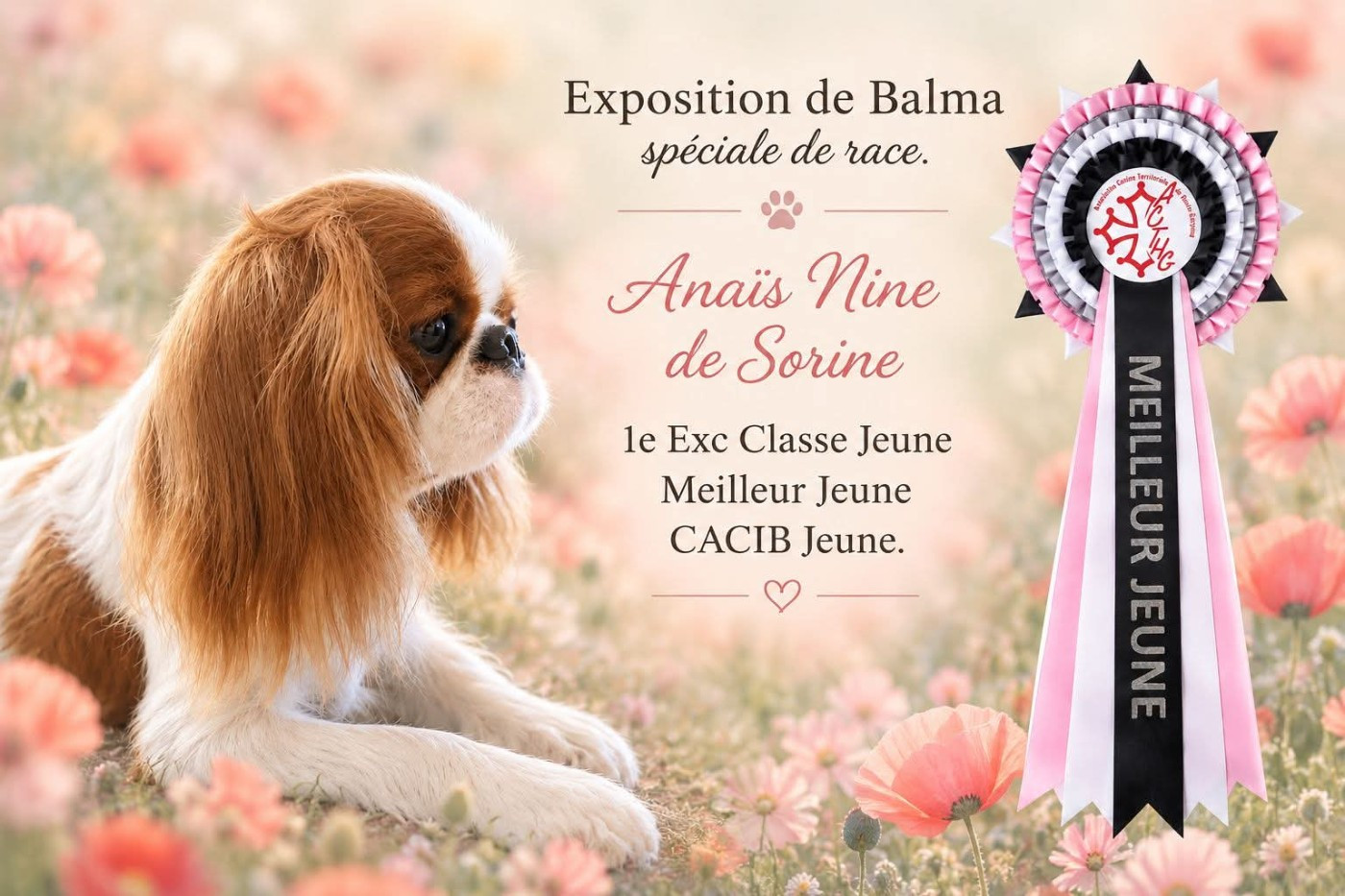 Résultat d Expo